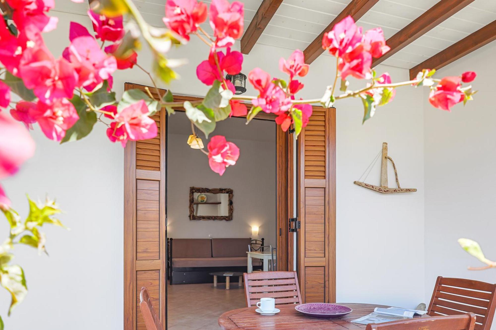 Anemonisia Skyrian Living Apartment Skyros