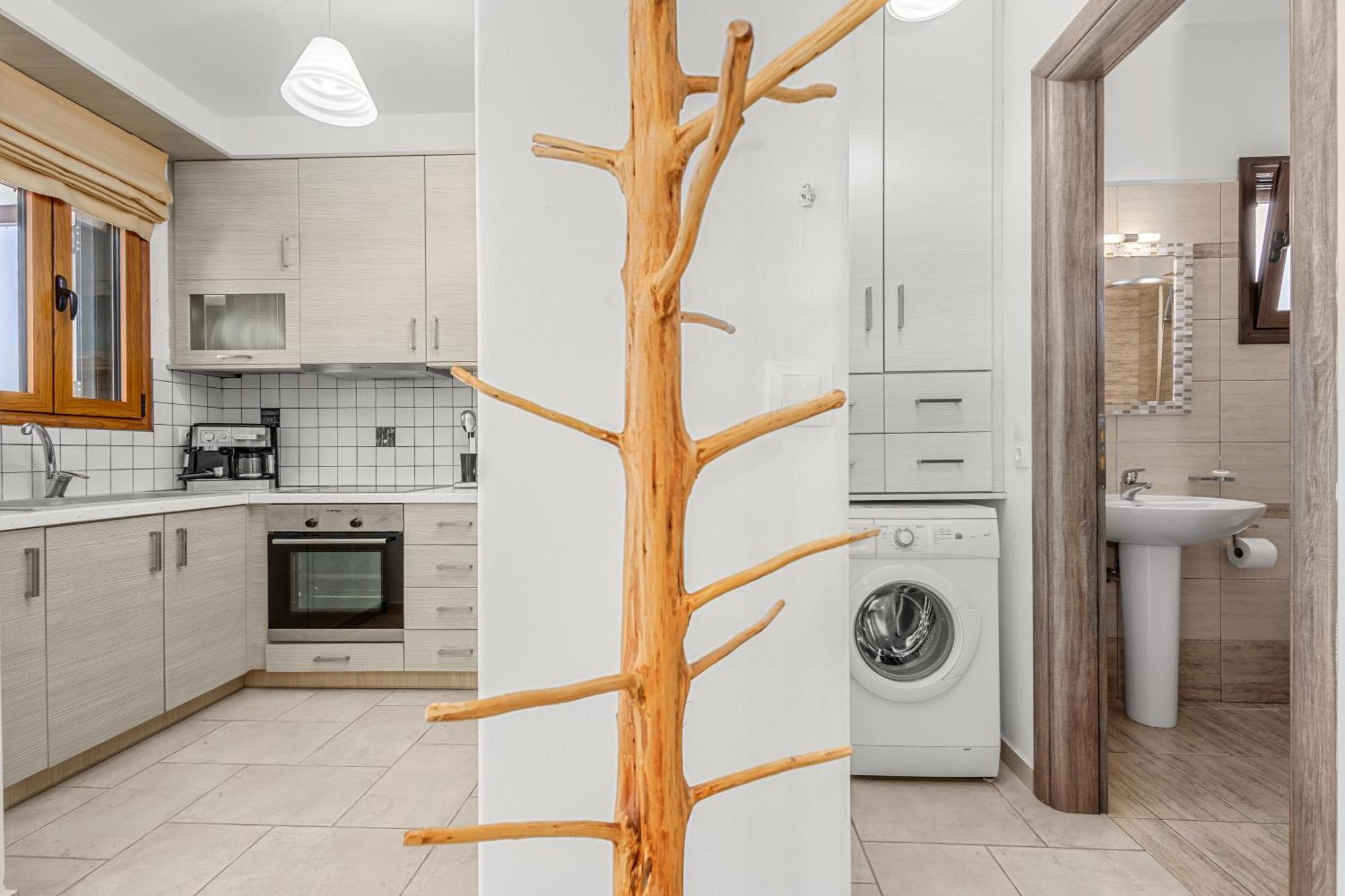 Anemonisia Skyrian Living Apartment Skyros